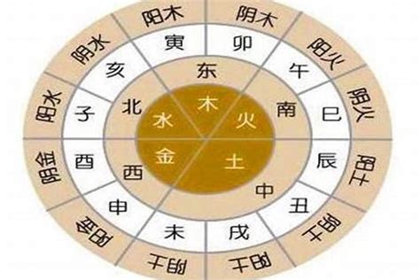 八字 缺木|八字五行缺木怎么办 五行缺木忌讳什么